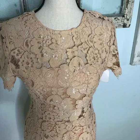 Beautiful NWT NSR Dress - Picture 3 of 14